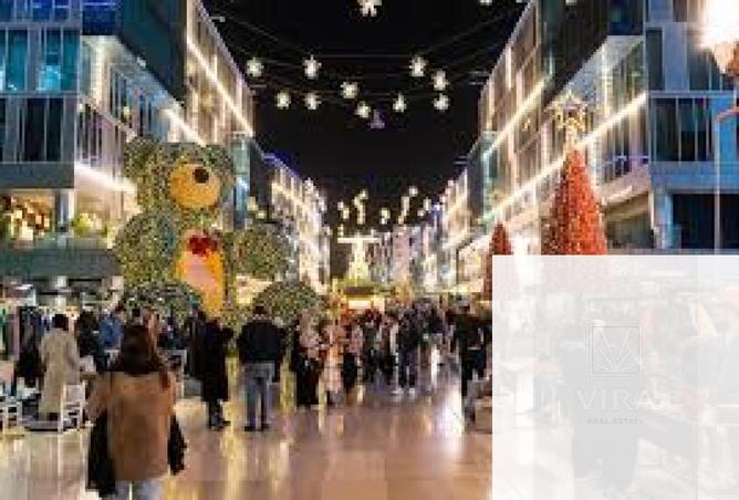 65913800 - صورة العقار 3