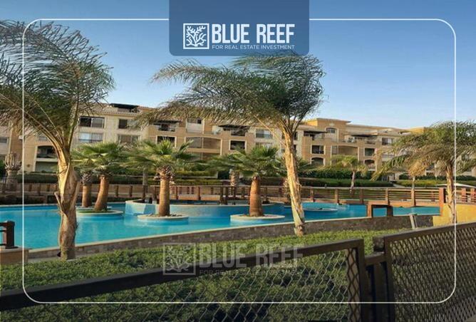 69572974 - صورة العقار 3