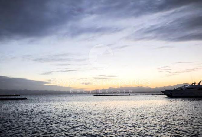 69572551 - صورة العقار 3