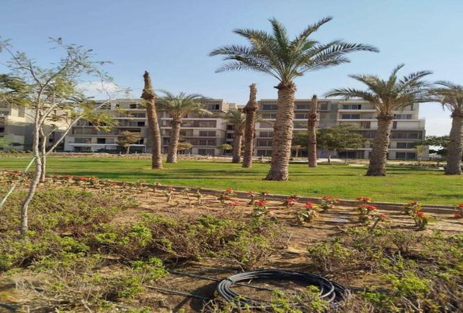 8541866 - Property Image 3