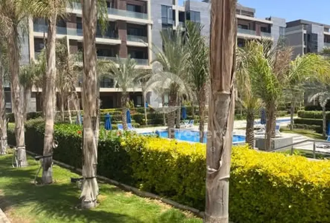118538305 - Property Image 3
