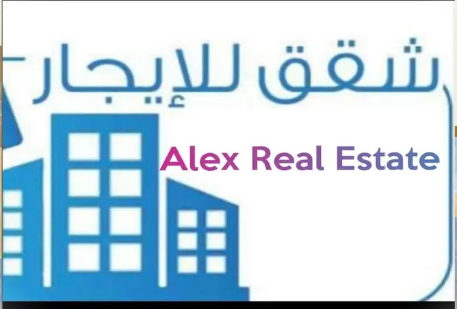 56240536 - صورة العقار 2