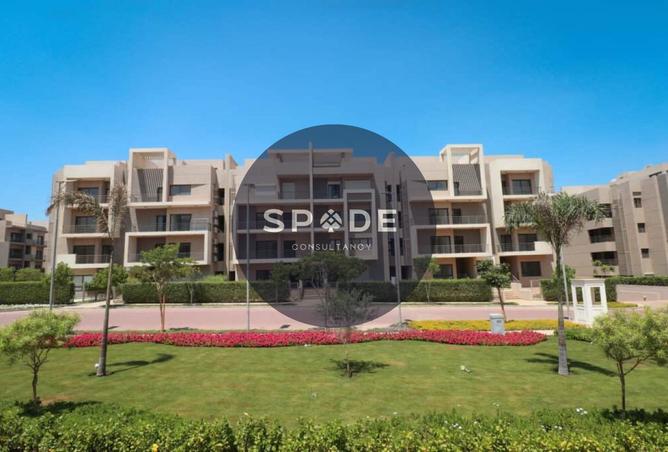 52197904 - Property Image 3