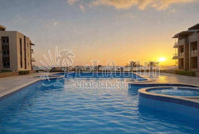 69563878 - صورة العقار 3