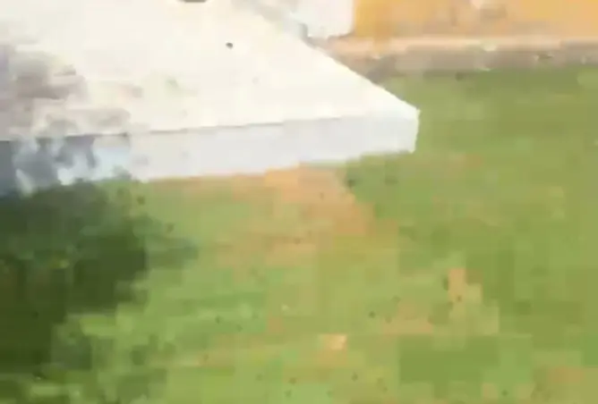 117284226 - صورة العقار 3