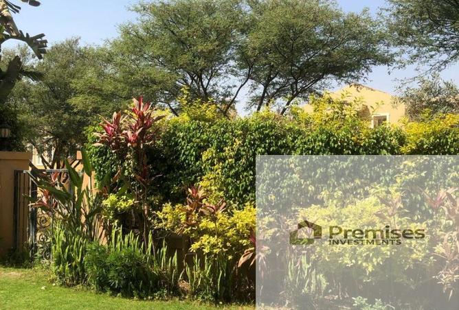 64392846 - صورة العقار 3