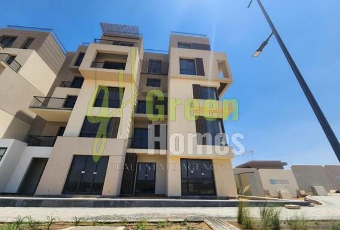 8417198 - Property Image 3