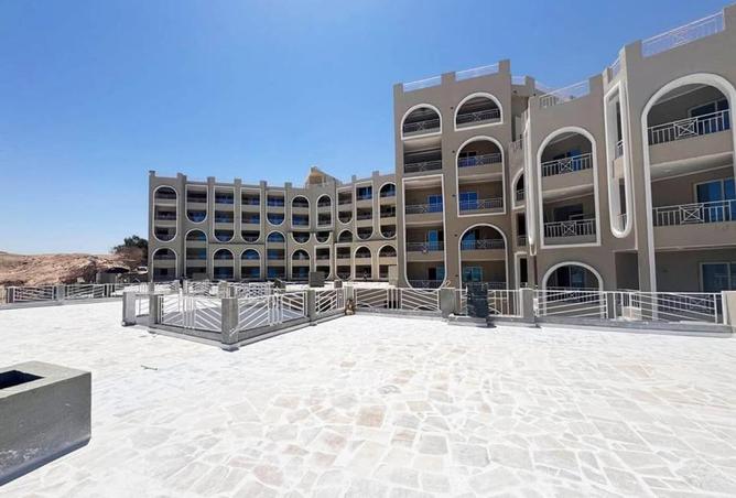 58991427 - Property Image 3