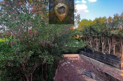 Villa - 3 Bedrooms - 3 Bathrooms for rent in Privado - Madinaty - Cairo Villa - 3 Bedrooms - 3 Bathrooms for rent in Privado - Madinaty - Cairo
