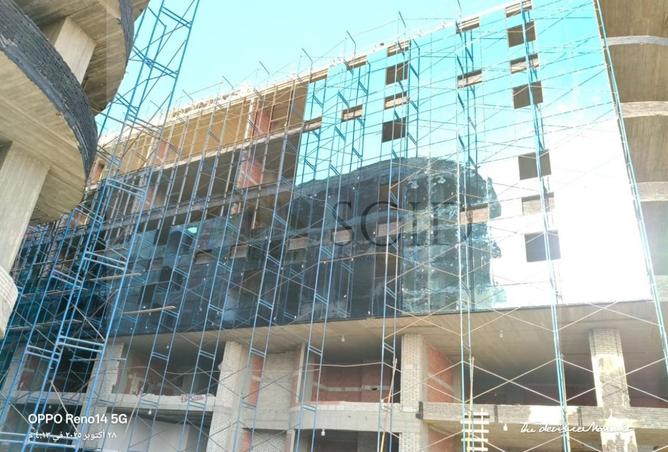 55762405 - Property Image 2