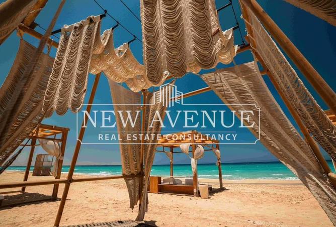 67736474 - صورة العقار 3