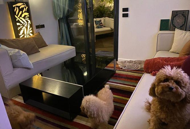 57503178 - صورة العقار 3