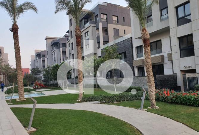 57238226 - Property Image 2