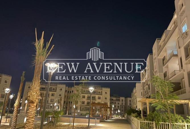 8709271 - Property Image 3