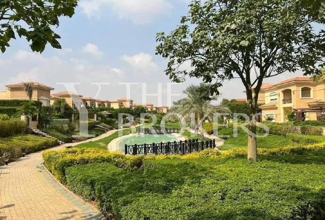 56496894 - Property Image 3