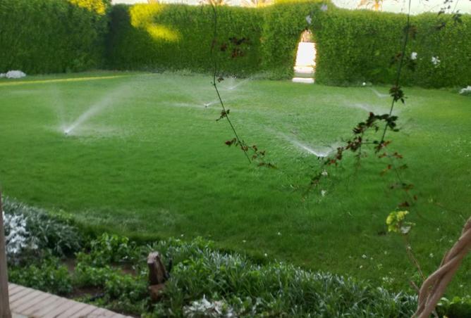 64906310 - الصورة الرئيسية للعقار