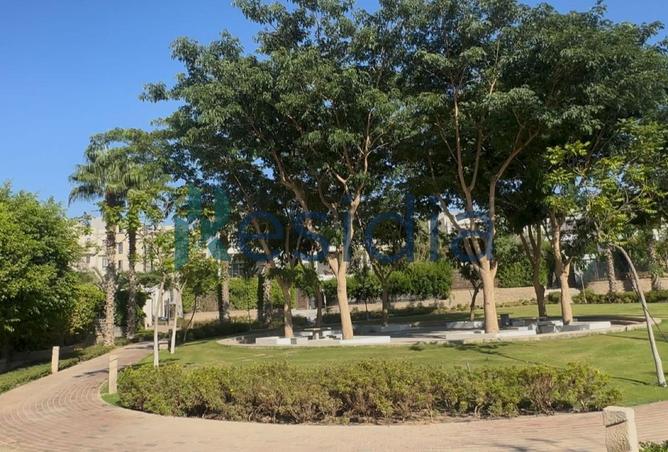 56509873 - صورة العقار 2