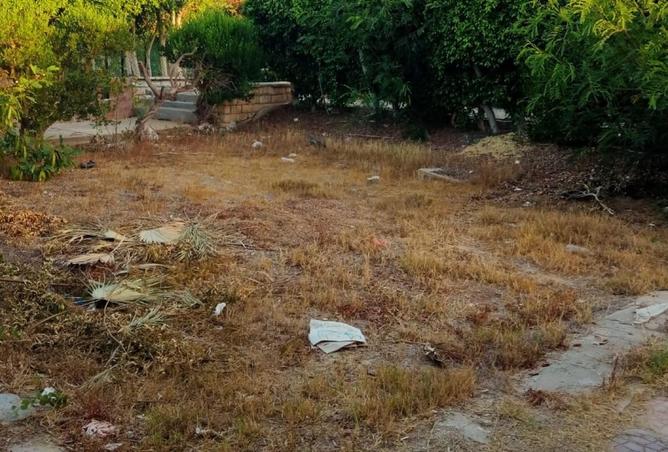 57736203 - صورة العقار 2