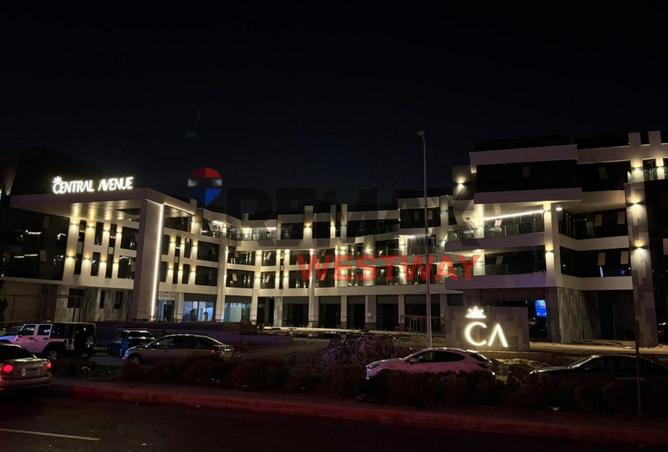 8656422 - Property Image 3