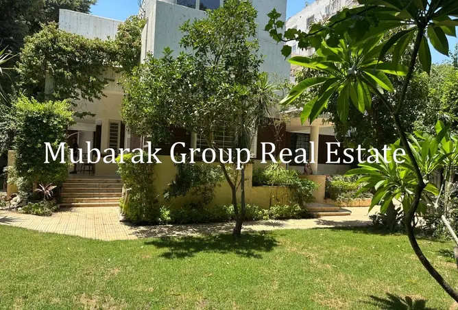 116499080 - Property Image 3