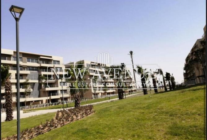 71906499 - Property Image 3
