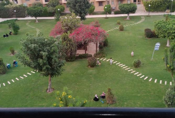 66175399 - الصورة الرئيسية للعقار