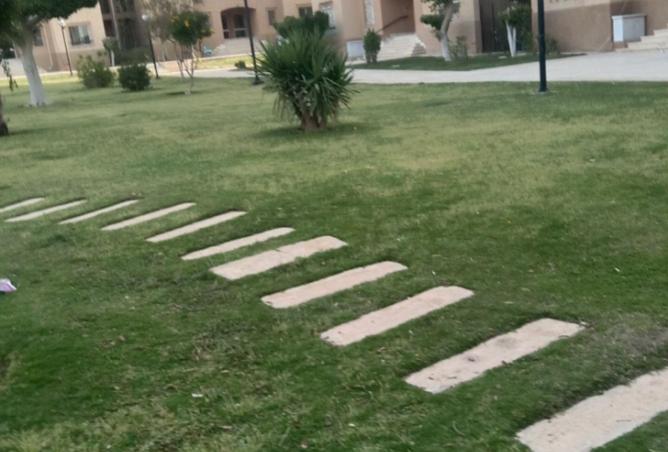 66175399 - صورة العقار 2