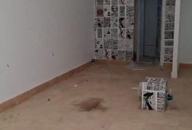 75687378 - Property Image 3