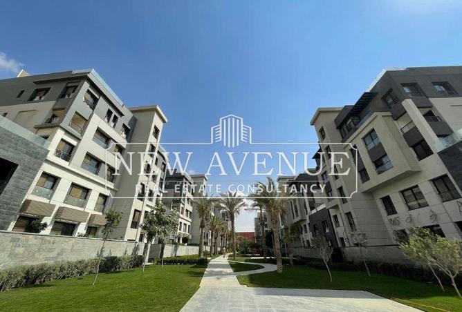 66419844 - Property Main Image