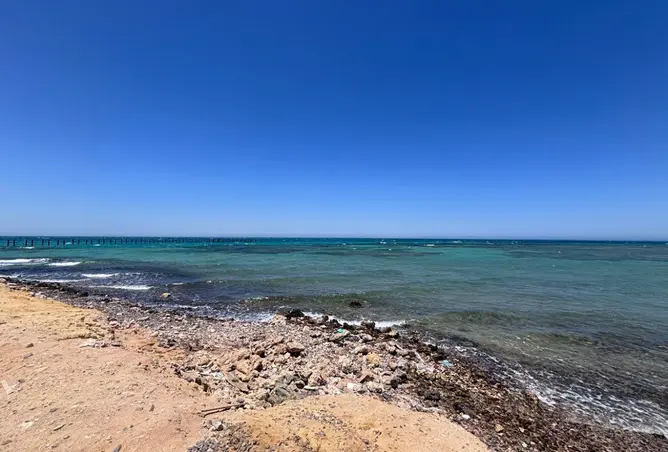 118541456 - Property Image 3