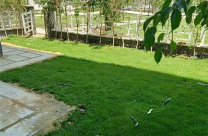Apartment - 3 Bedrooms - 3 Bathrooms for rent in Privado - Madinaty - Cairo