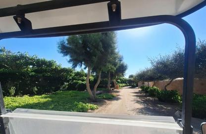 Chalet - 3 Bedrooms - 3 Bathrooms for sale in Marsa Baghush - Qesm Marsa Matrouh - North Coast