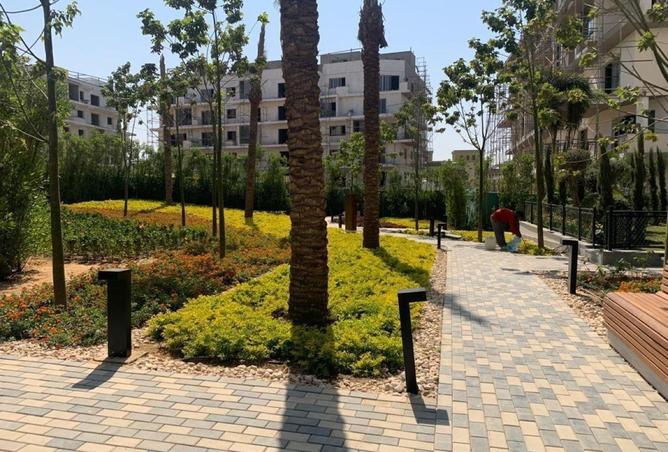 8582855 - صورة العقار 3