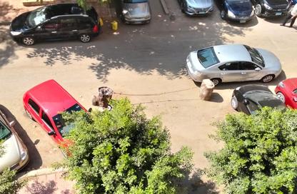 Apartment - 2 Bedrooms - 1 Bathroom for sale in Makram Ebeid St. - 6th Zone - Nasr City - Cairo