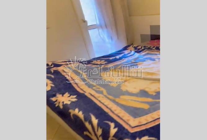 8511830 - Property Image 3