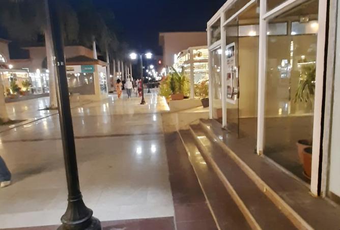 100094985 - صورة العقار 2