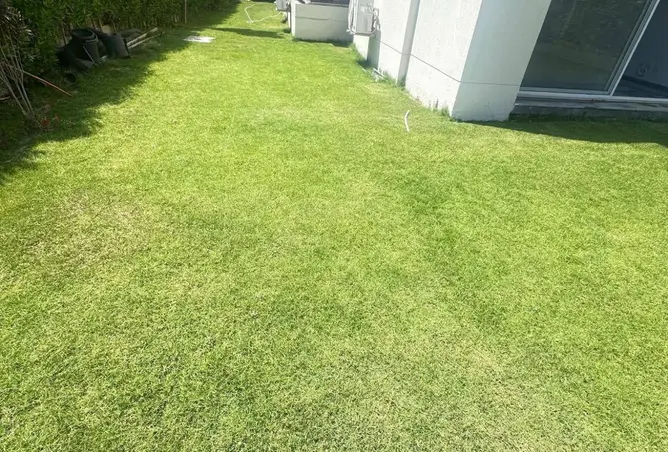 115442111 - صورة العقار 3