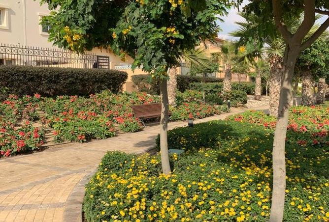 96852513 - صورة العقار 3