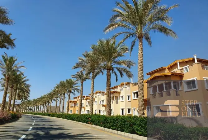 113541637 - صورة العقار 3