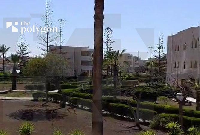 107410018 - Property Image 3