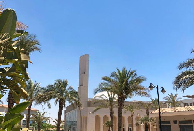 97726423 - صورة العقار 2