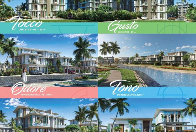 68258847 - Property Image 3