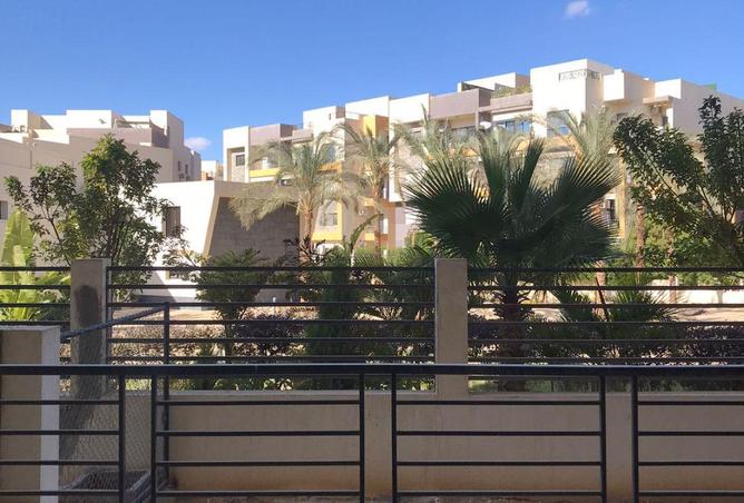 67222822 - Property Main Image