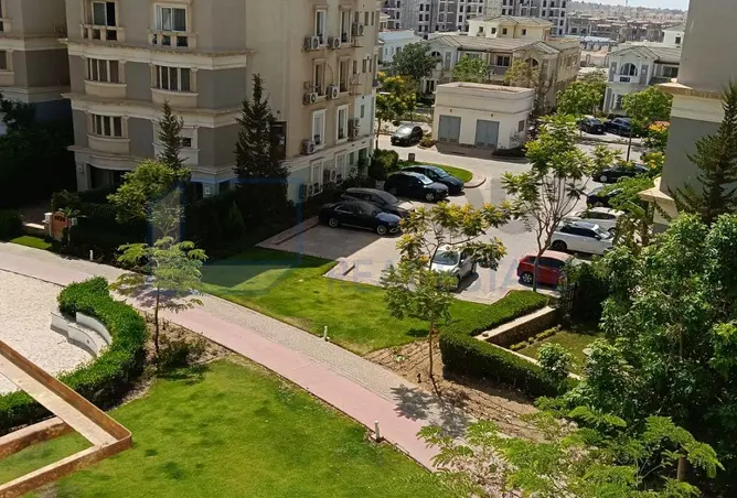 118548082 - Property Image 3
