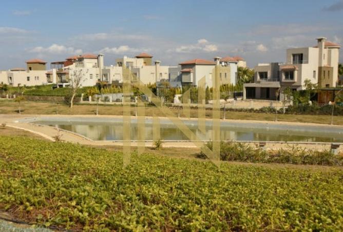 8505411 - صورة العقار 3