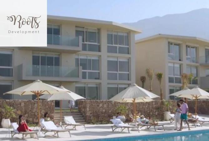 64384966 - صورة العقار 3