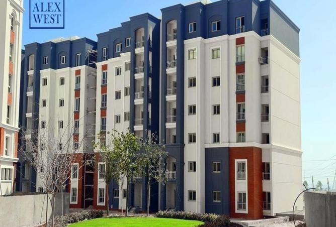 53731035 - Property Image 2