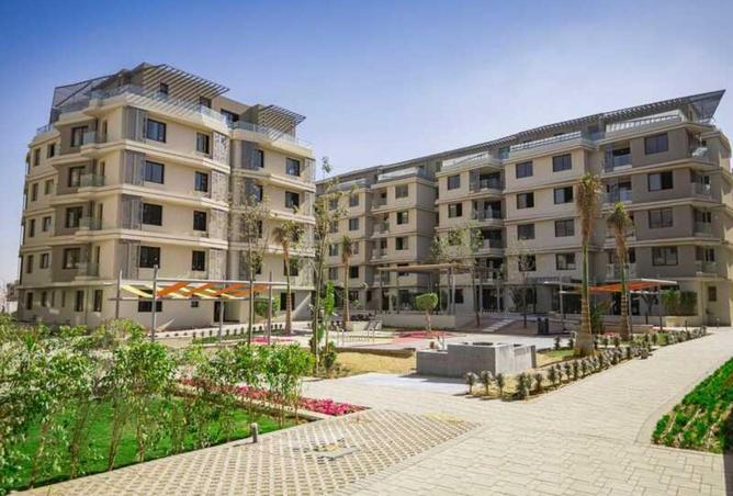 65911501 - Property Image 3