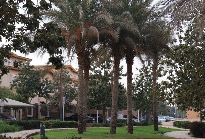 69837227 - Property Image 2