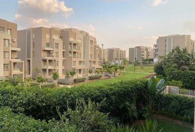 8507502 - Property Image 3